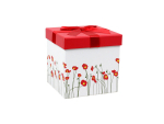 Boîte cadeau 