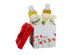 Boîte cadeau 