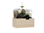 Coffret plat en bois 