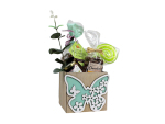Coupe bois papillons assortis