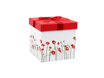 Boîte cadeau 